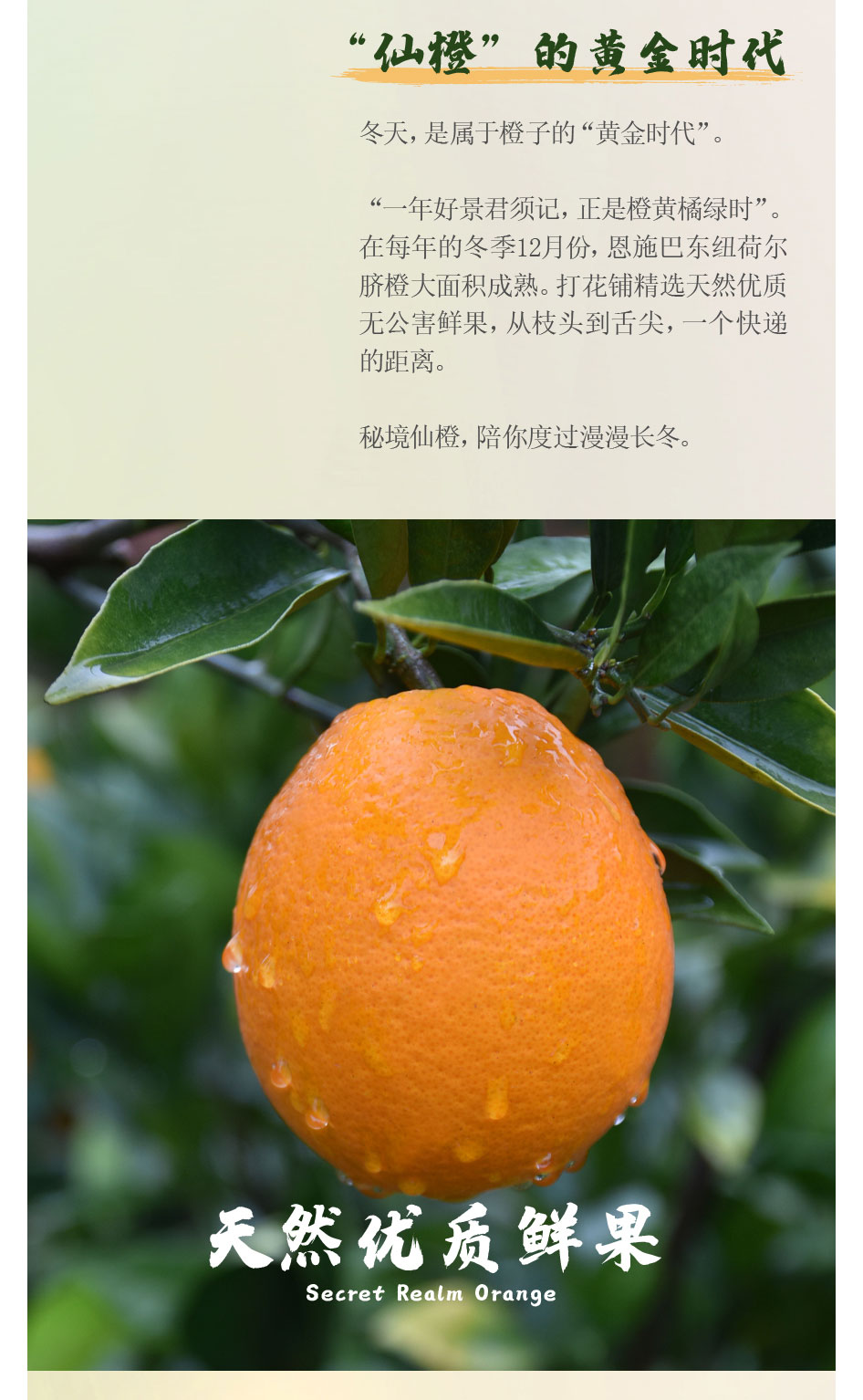 橙子前期宣传推文_画板-1_02.jpg
