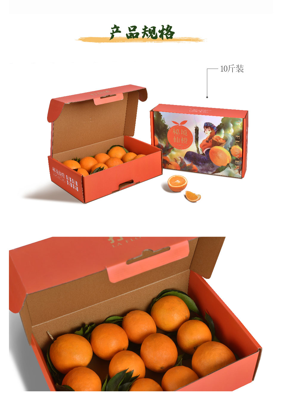 橙子前期宣传推文_画板-1_06.jpg